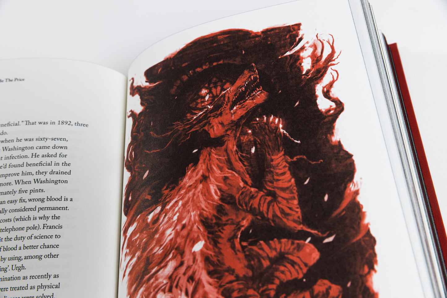 Blood Echoes: A Bloodborne Anthology