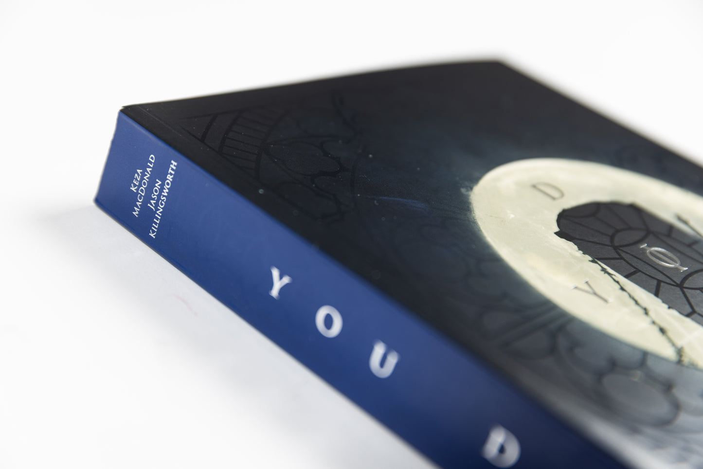 You Died: The Dark Souls Companion (softcover edition)