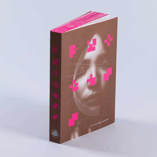 Process: A Novel (softcover edition)