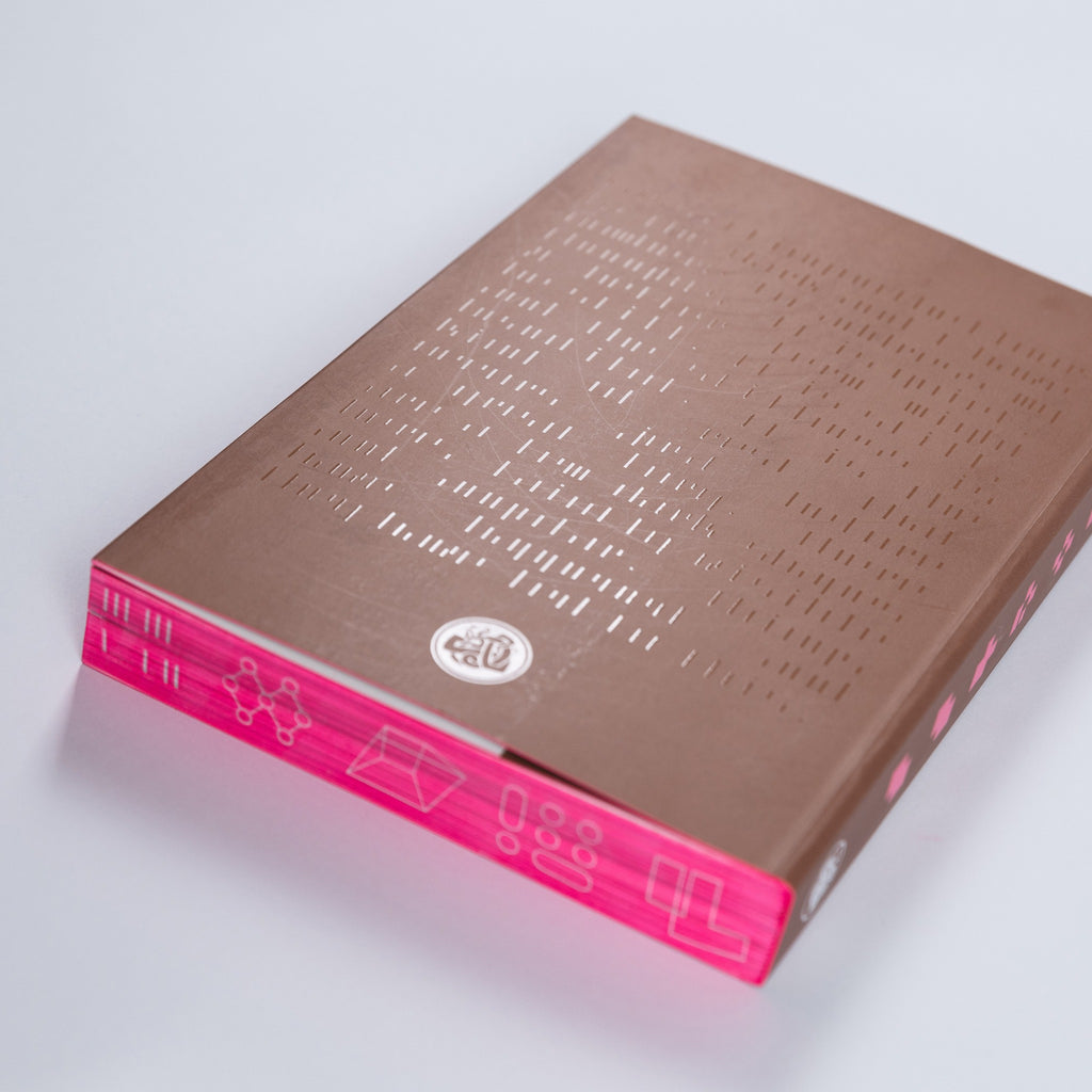 Process: A Novel (softcover edition)