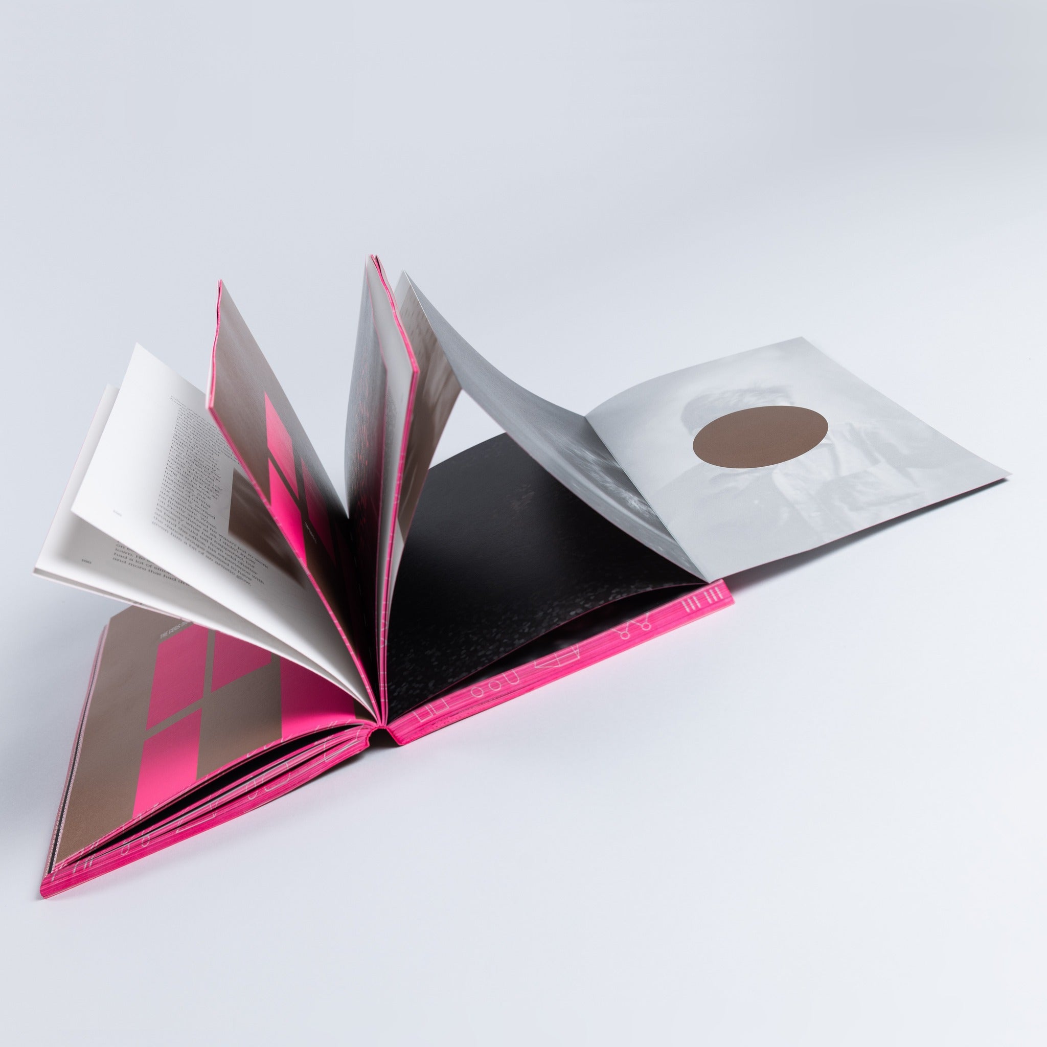 Process: A Novel (softcover edition)