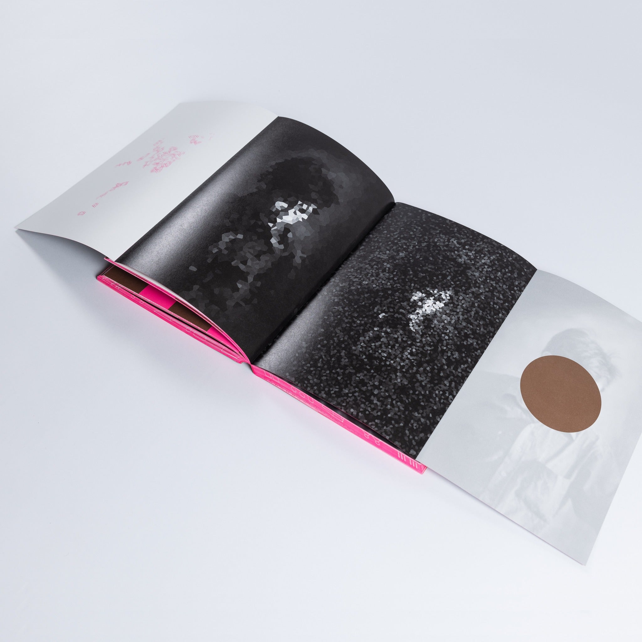 Process: A Novel (softcover edition)