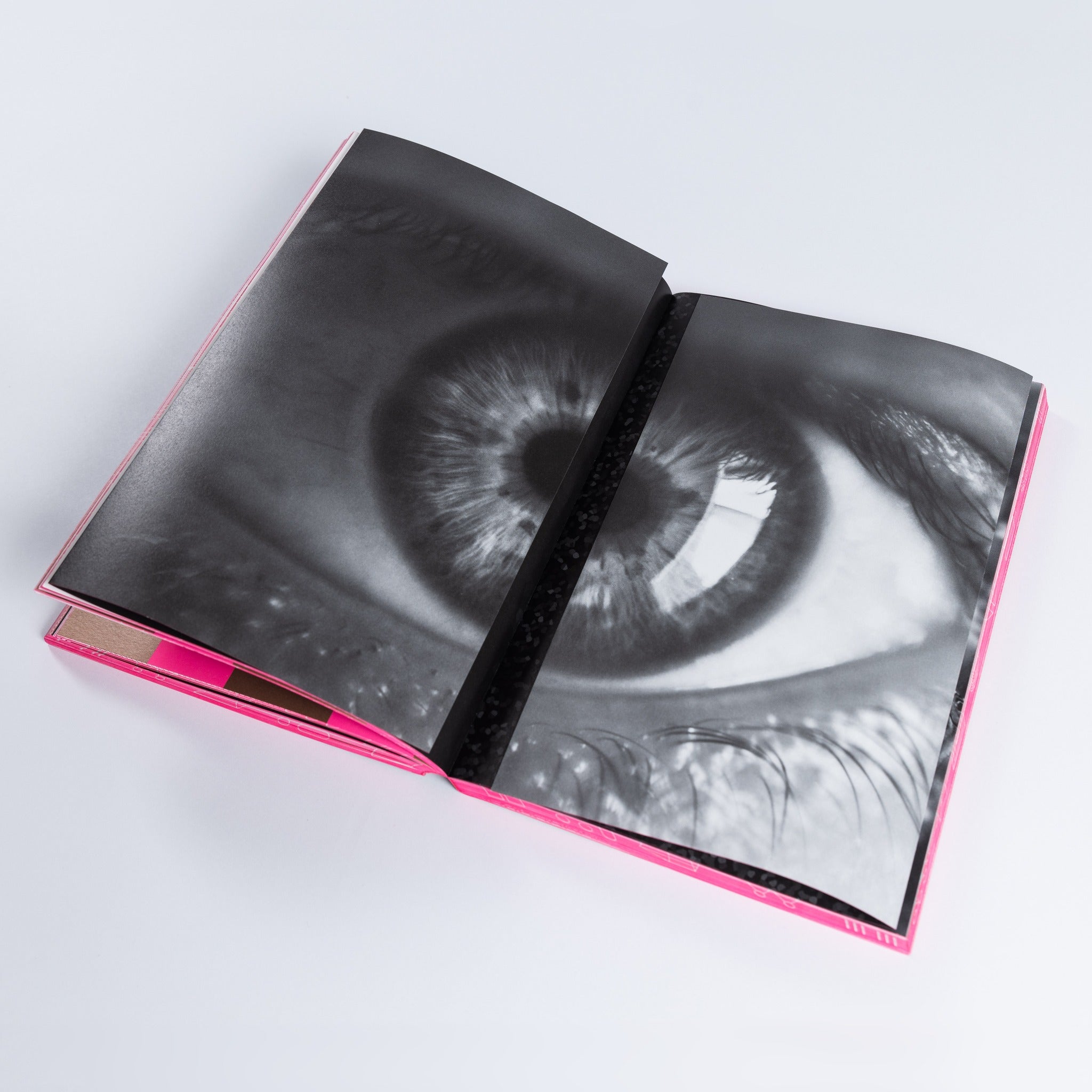 Process: A Novel (softcover edition)