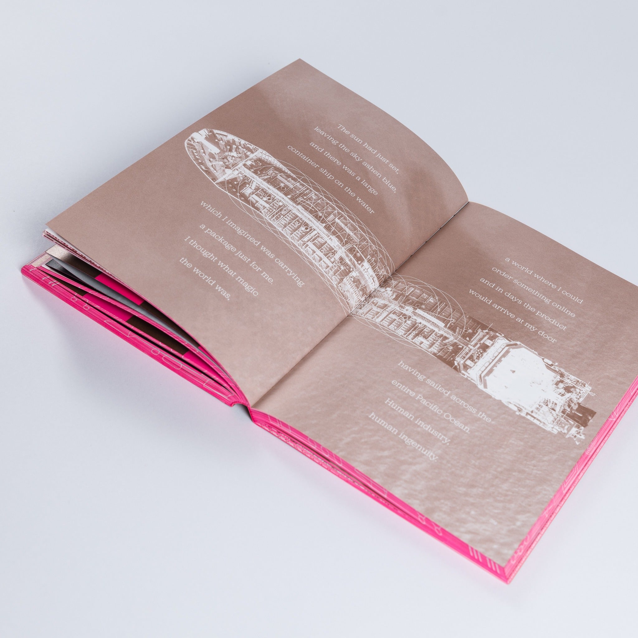 Process: A Novel (softcover edition)