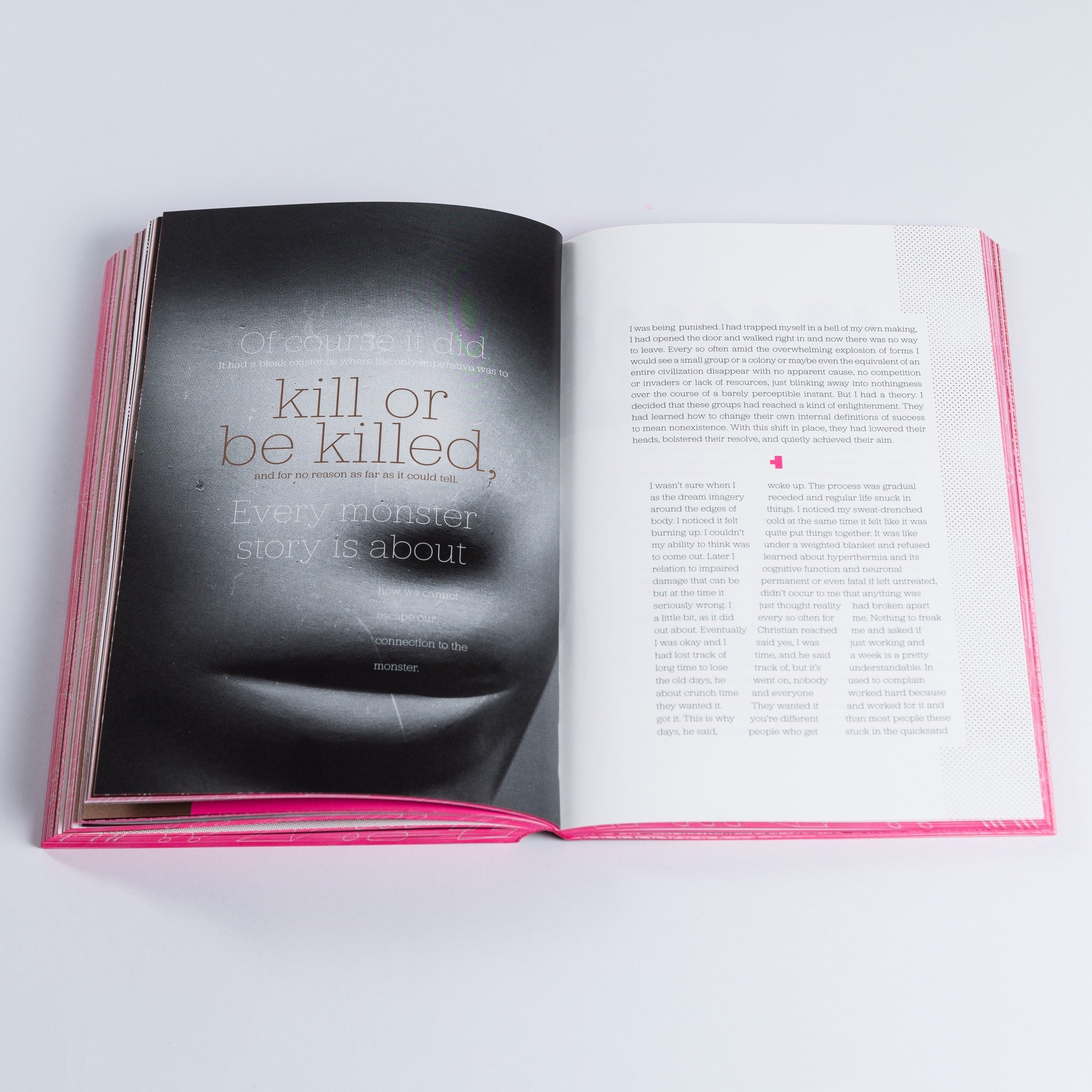 Process: A Novel (softcover edition)