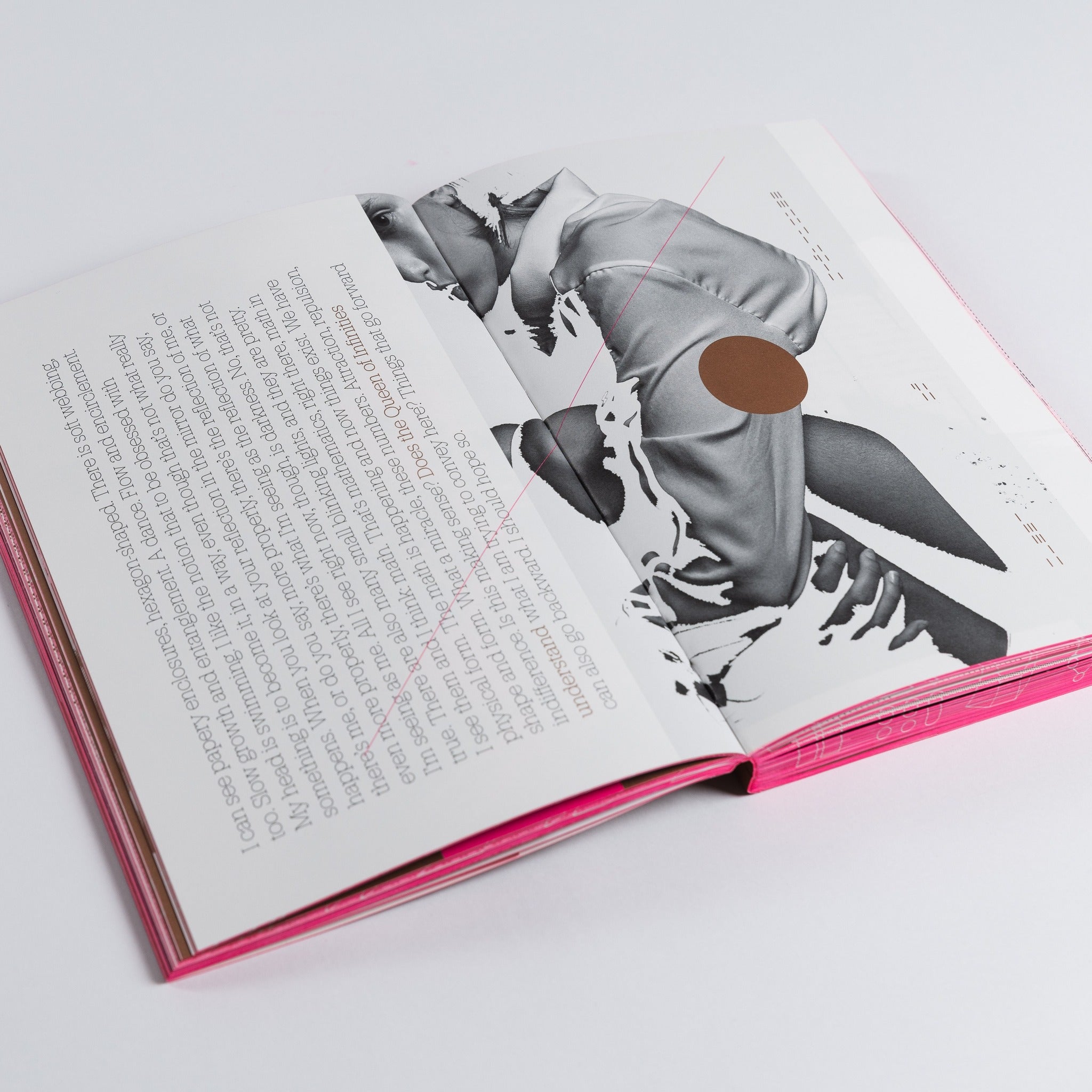 Process: A Novel (softcover edition)