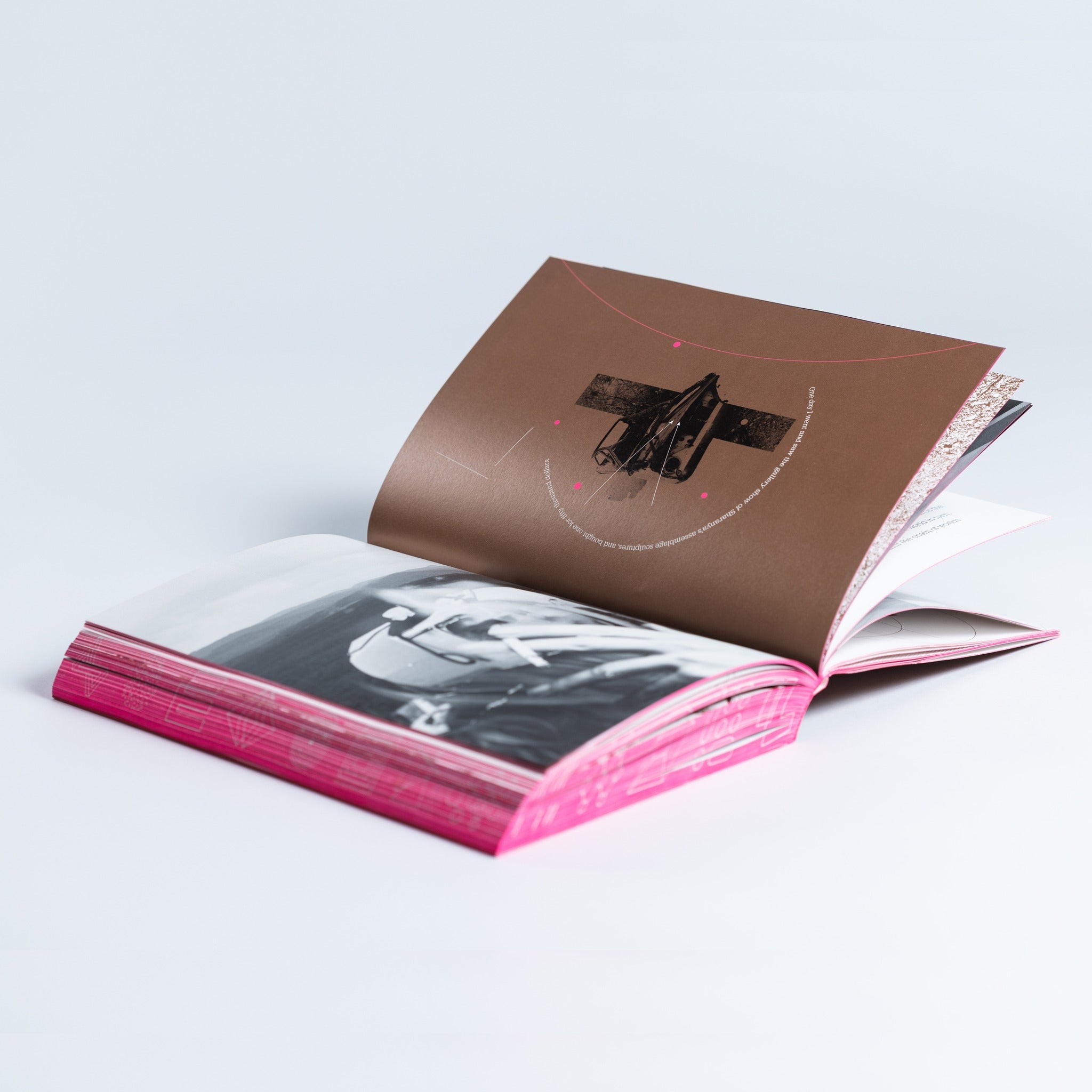 Process: A Novel (softcover edition)