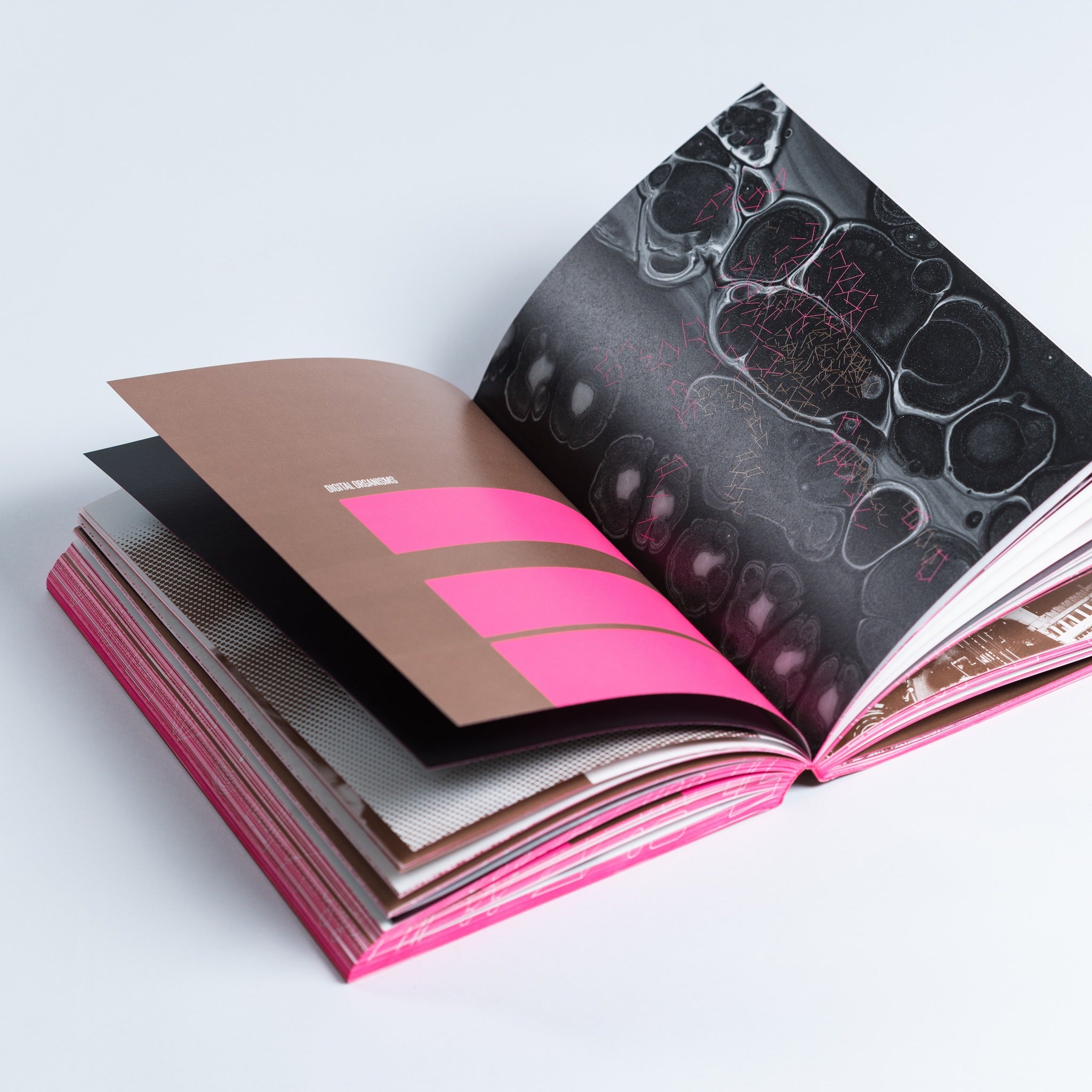 Process: A Novel (softcover edition)