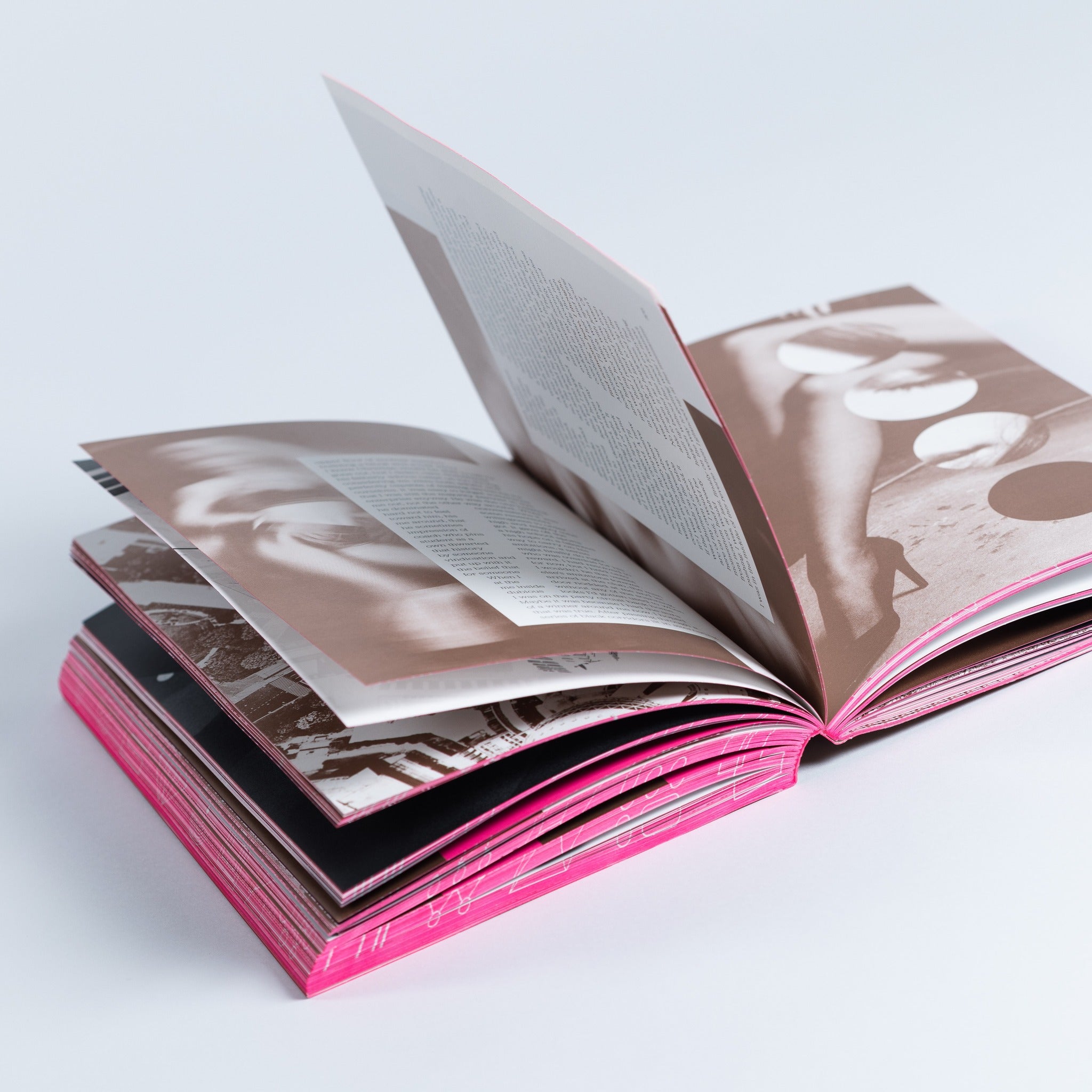 Process: A Novel (softcover edition)