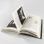 Abyssal Archive: The Mythology of Dark Souls (softcover edition)