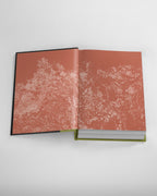 {Pre-order} Look for the Light: The Last of Us Anthology
