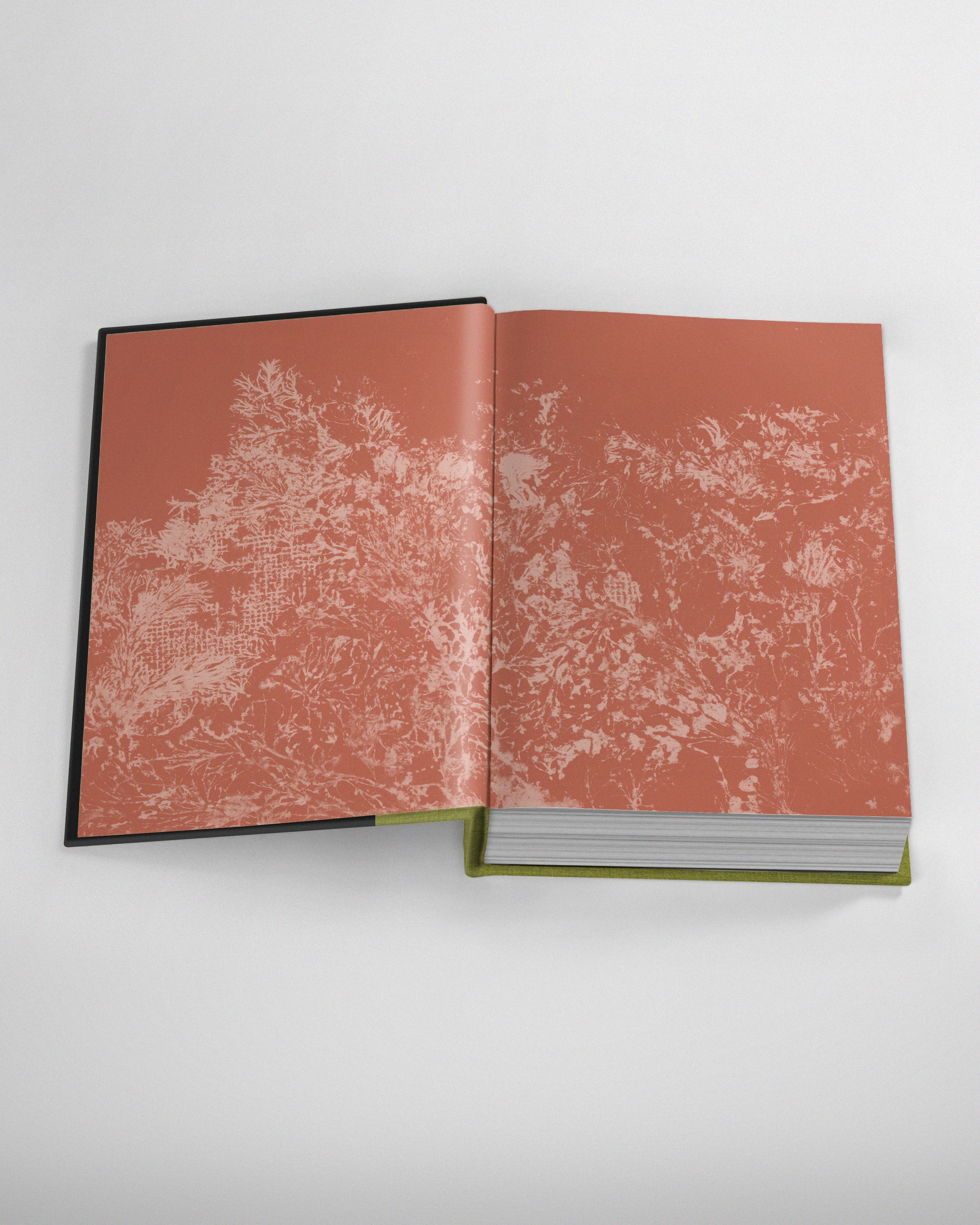{Pre-order} Look for the Light: The Last of Us Anthology