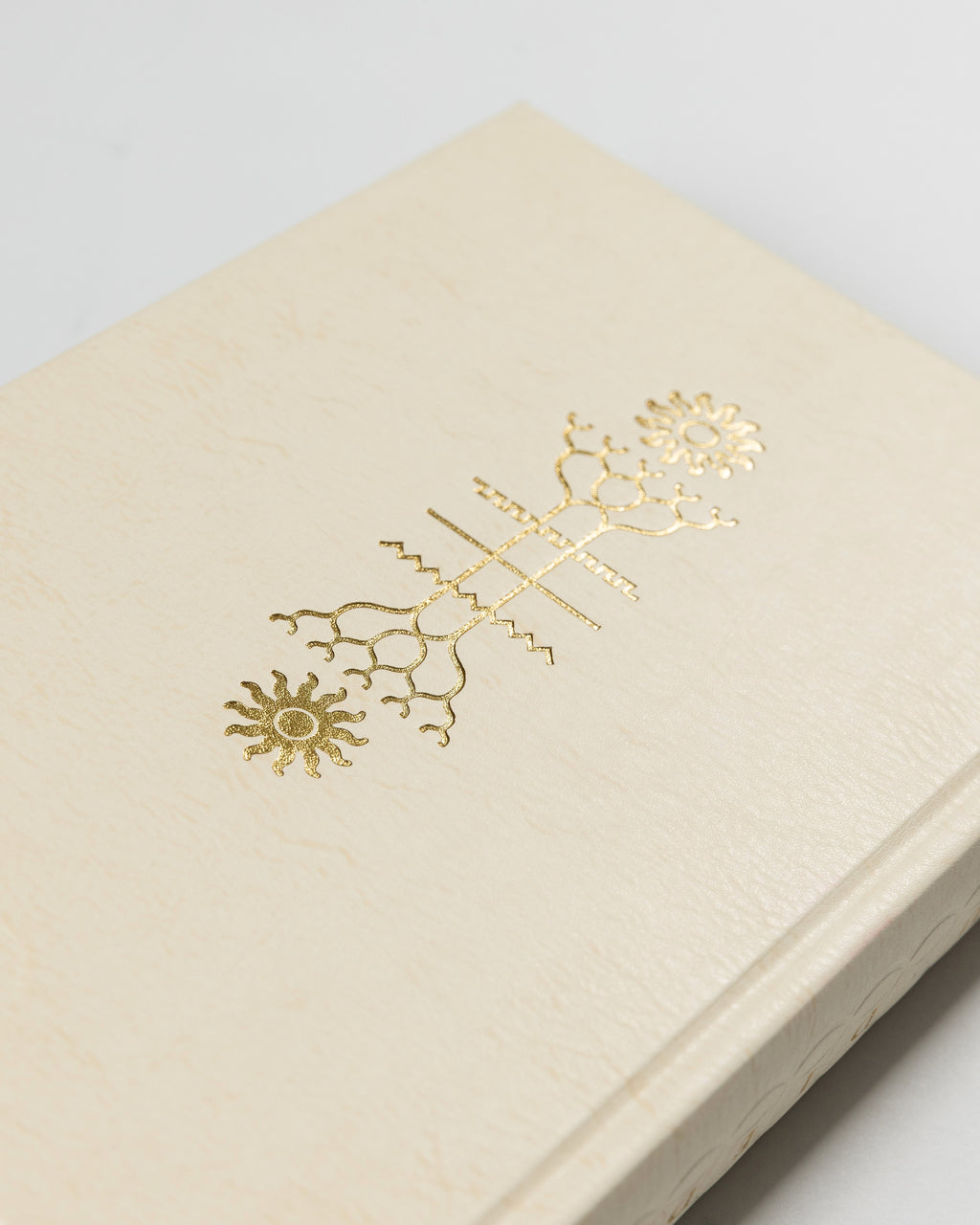 You Died 10th Anniversary Limited Edition