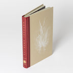 Abyssal Archive: The Mythology of Dark Souls