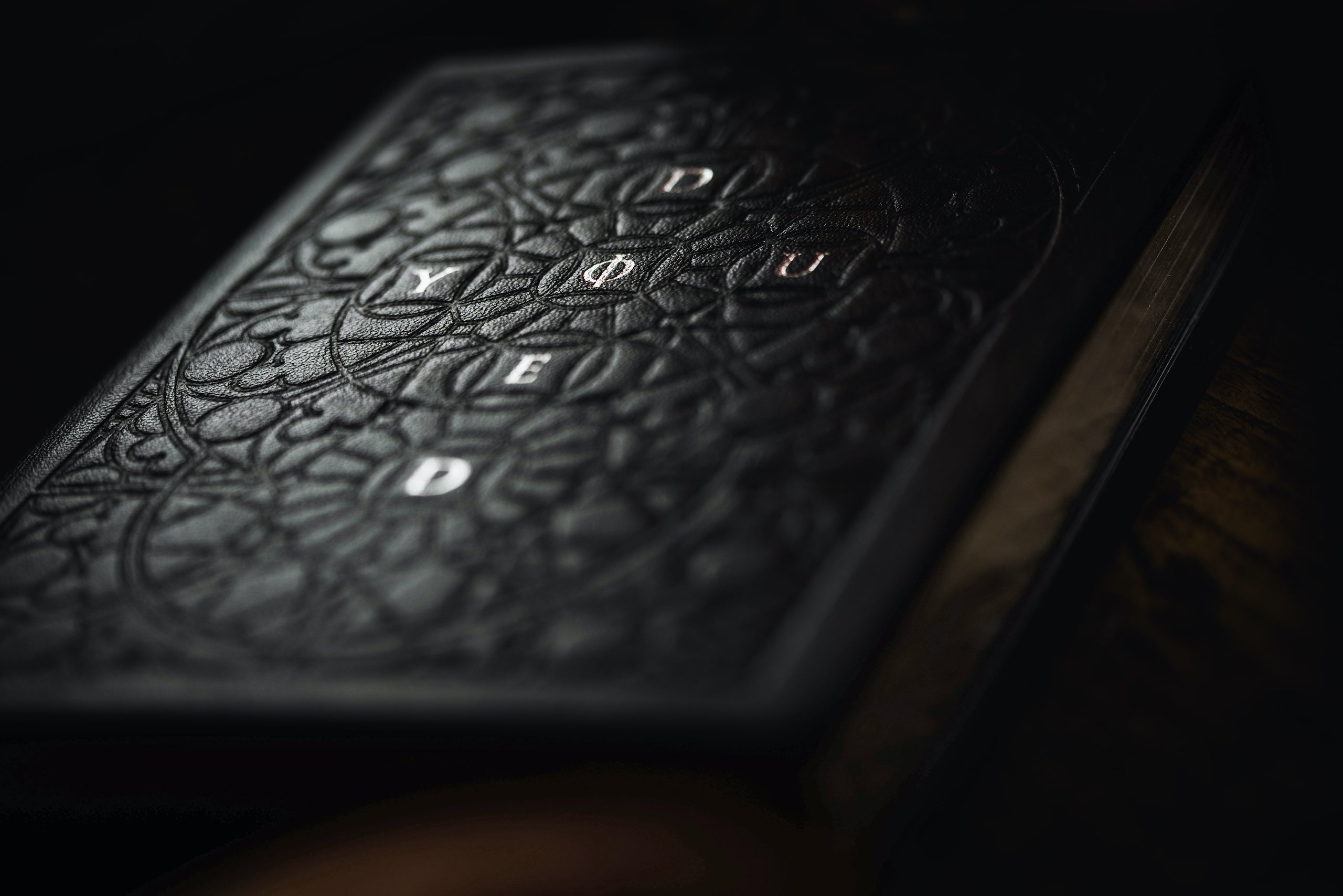 You Died: The Dark Souls Companion (genuine-leather edition)