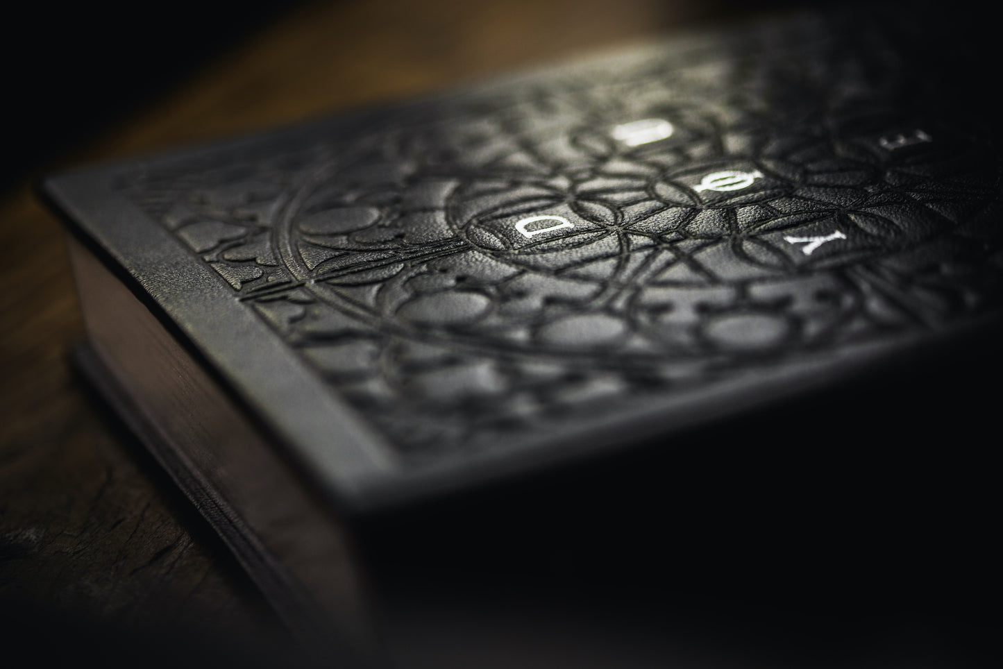 "Gravelord Servant Edition" Italian-leather copy of You Died with handcrafted oak coffin)