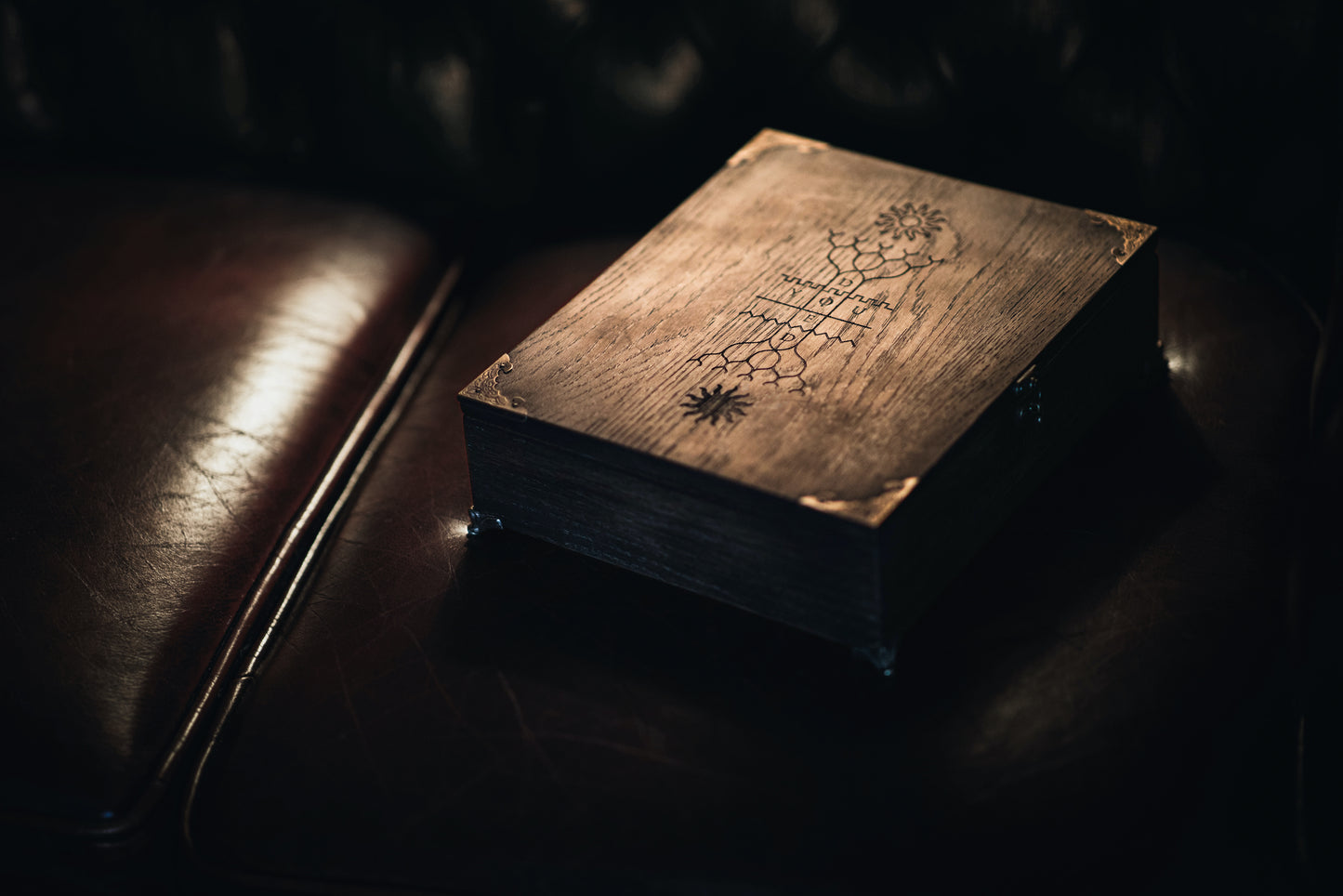 "Gravelord Servant Edition" Italian-leather copy of You Died with handcrafted oak coffin)